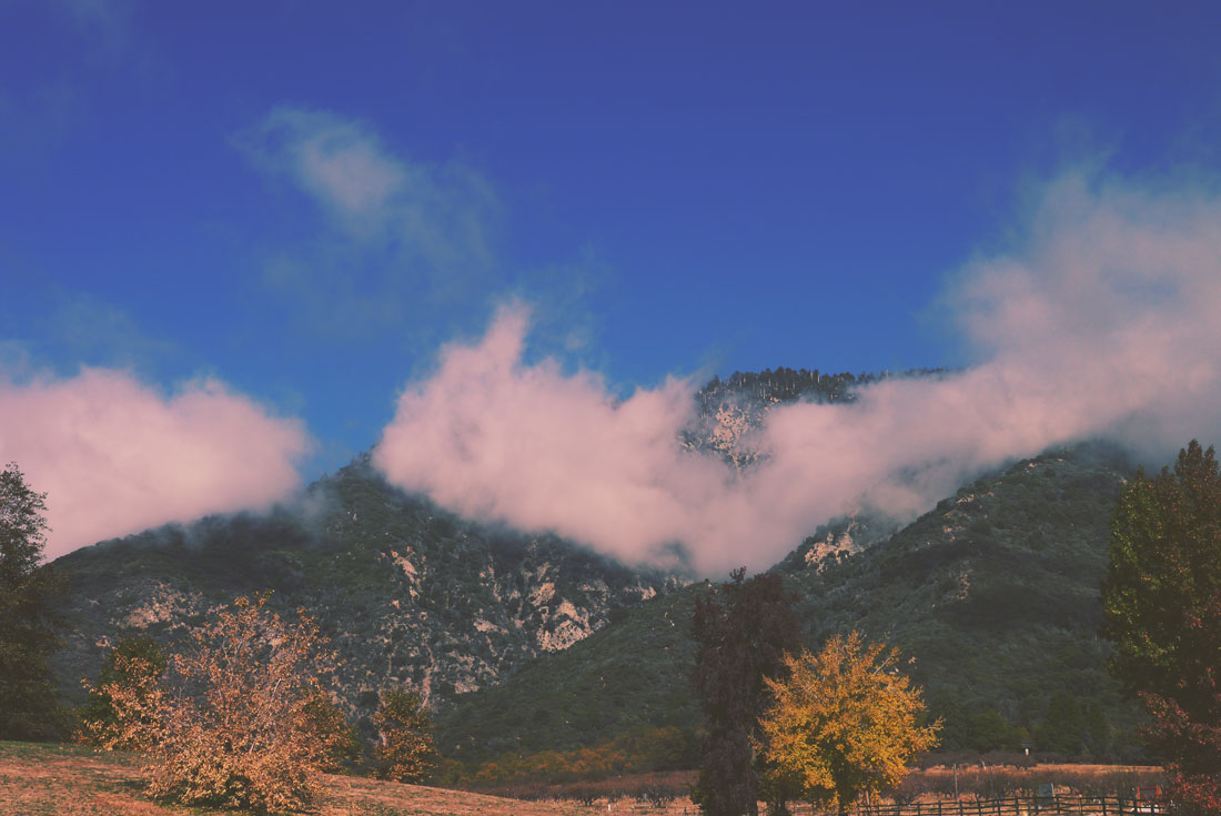 Apple Picking in Yucaipa