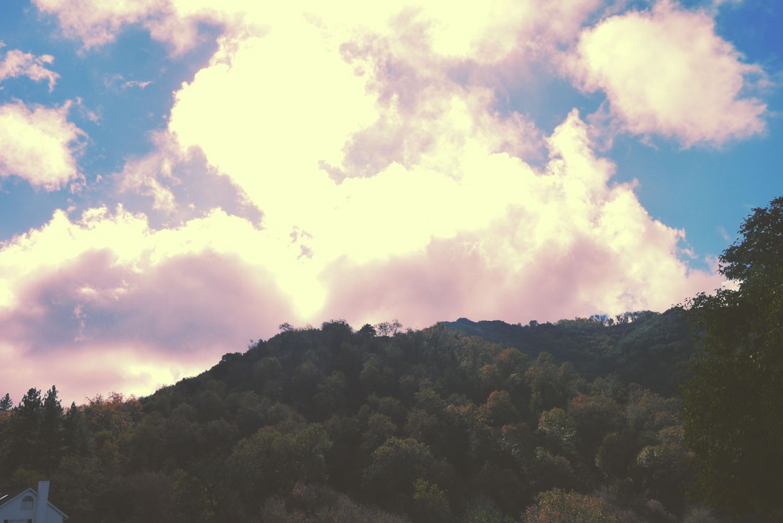 Apple Picking in Yucaipa
