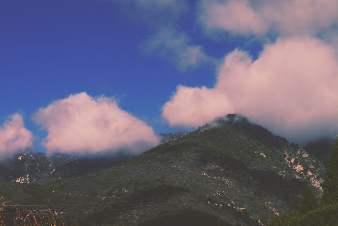 Apple Picking in Yucaipa