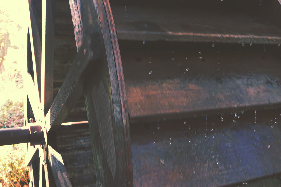 Apple Picking in Yucaipa