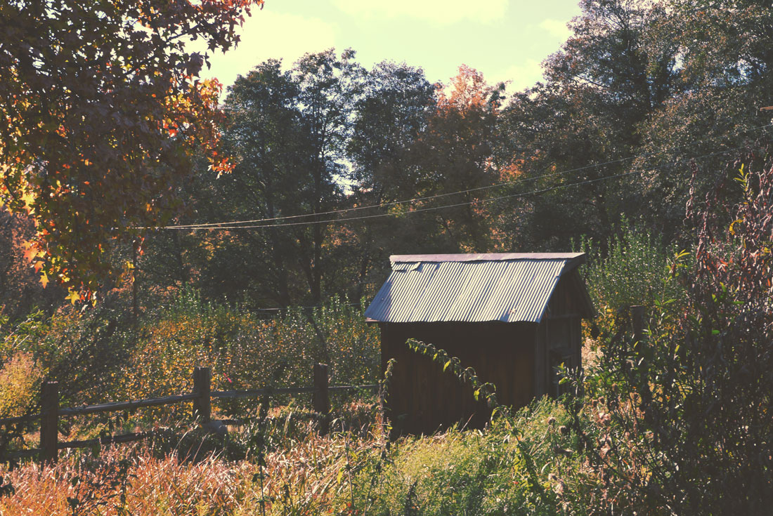 Apple Picking in Yucaipa