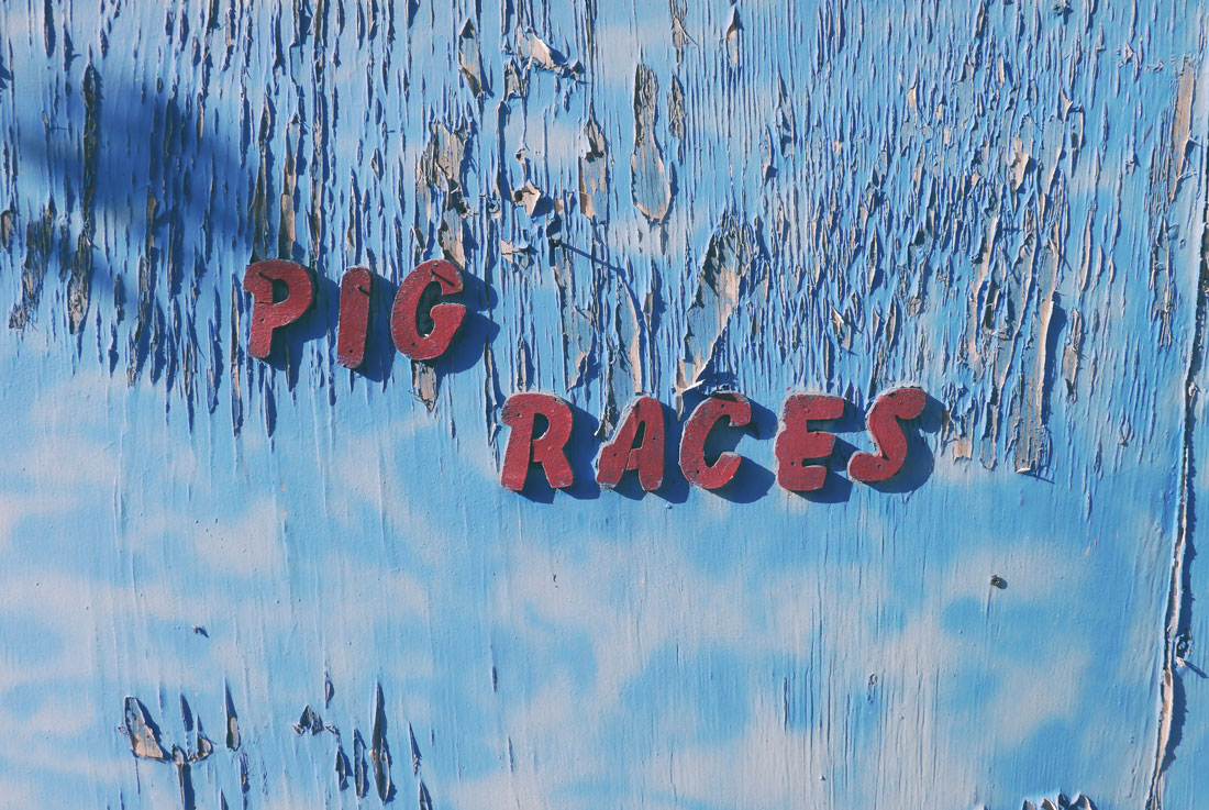 Apple Picking in Yucaipa