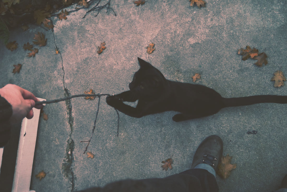 Apple Picking in Yucaipa