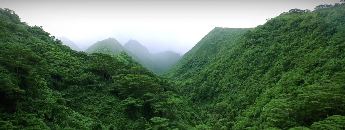 Robbie Maddison - Pipe Dreams