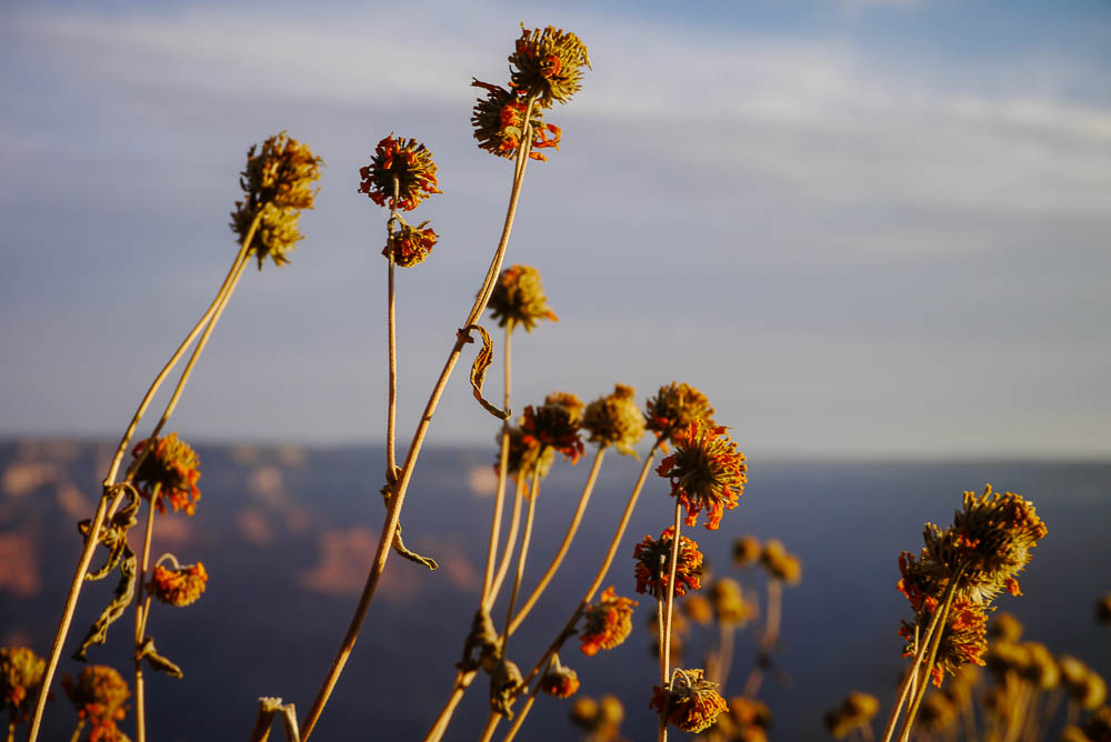 Grand Canyon - October 2012