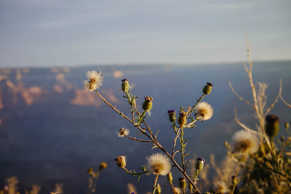 Grand Canyon - October 2012