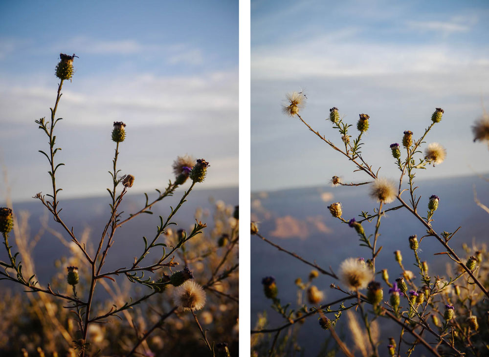Grand Canyon - October 2012