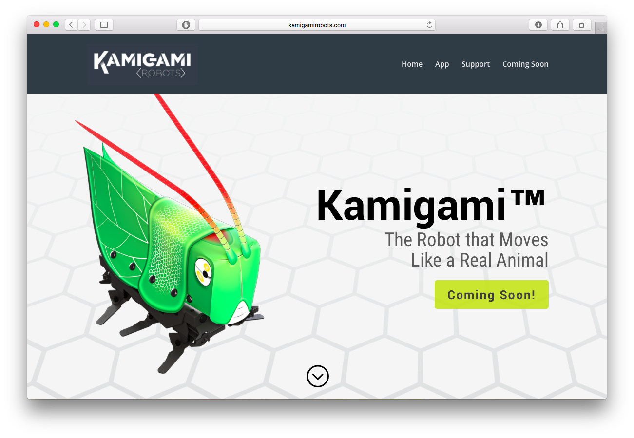 Kamigami - Branding