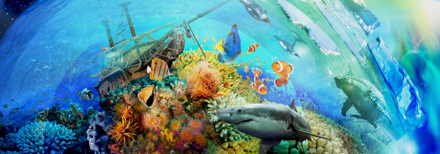 View-Master - Cover Art