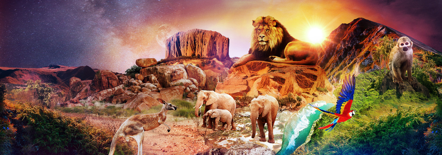 View-Master - Cover Art