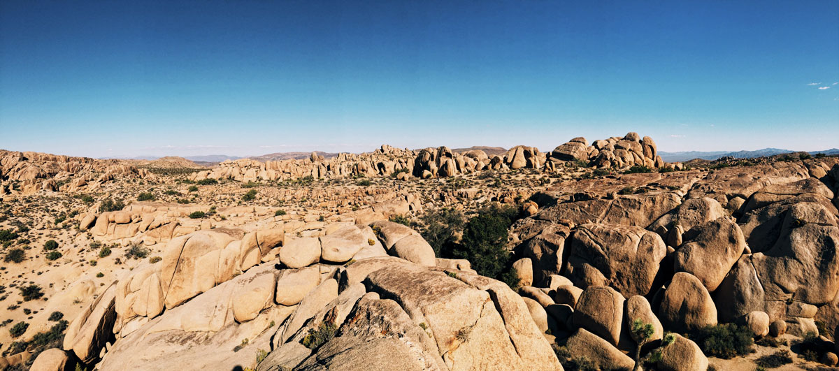 Joshua Tree - Jumbo Rocks