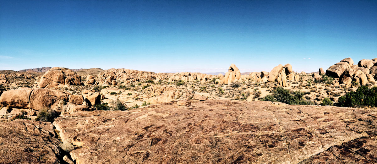 Joshua Tree - Jumbo Rocks