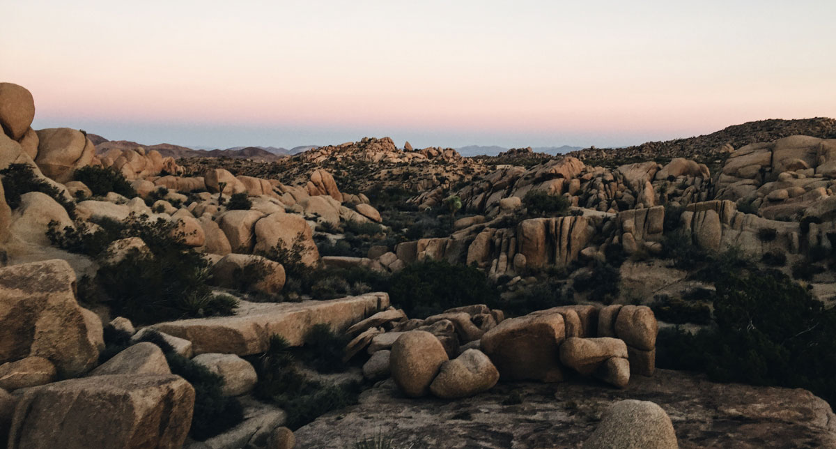 Joshua Tree - Jumbo Rocks