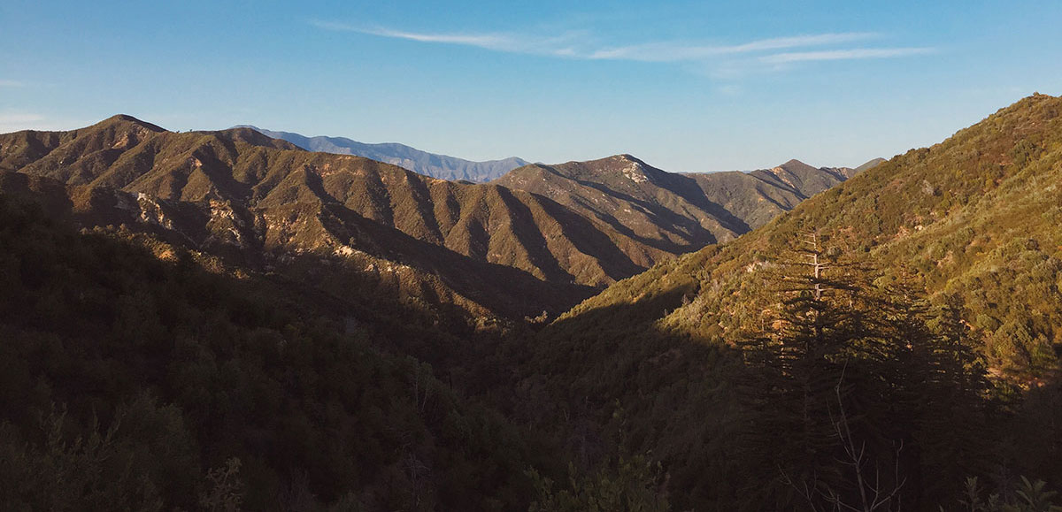 Big Sur / Los Padres National Forest