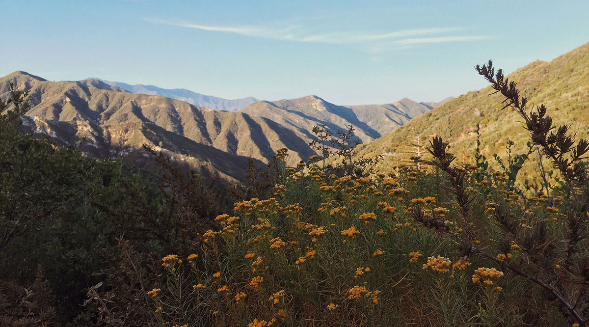 Big Sur / Los Padres National Forest