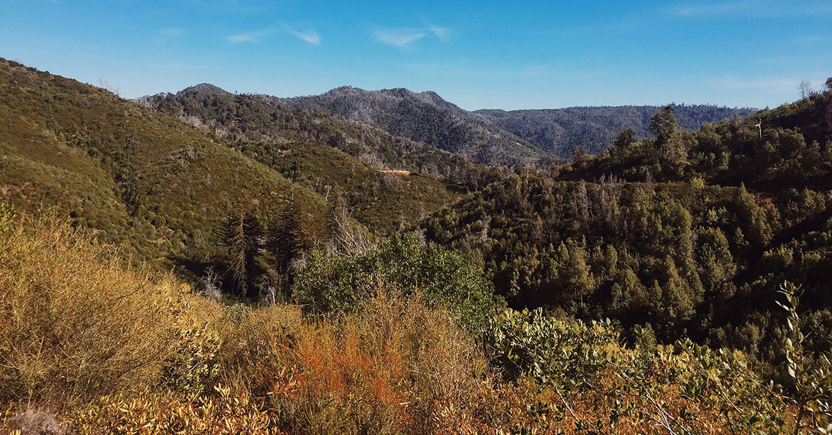Big Sur / Los Padres National Forest