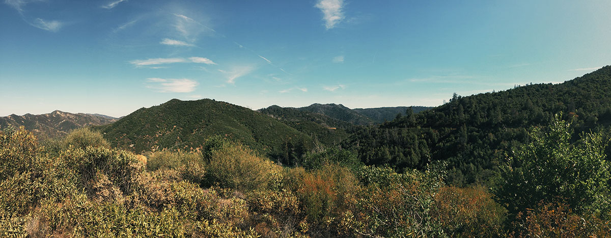 Big Sur / Los Padres National Forest