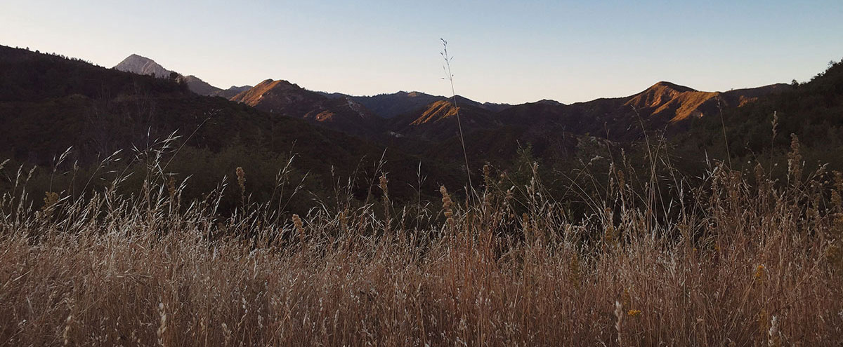 Big Sur / Los Padres National Forest