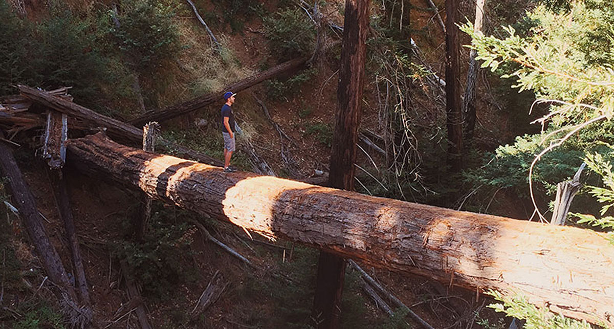 Big Sur / Los Padres National Forest