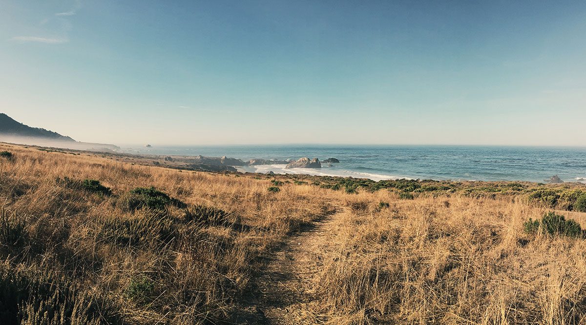 Big Sur / Los Padres National Forest