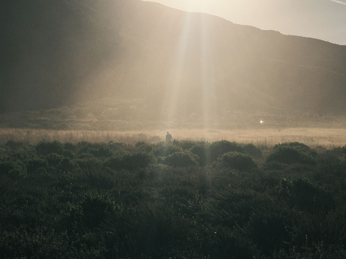 Big Sur / Los Padres National Forest