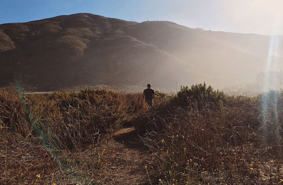 Big Sur / Los Padres National Forest