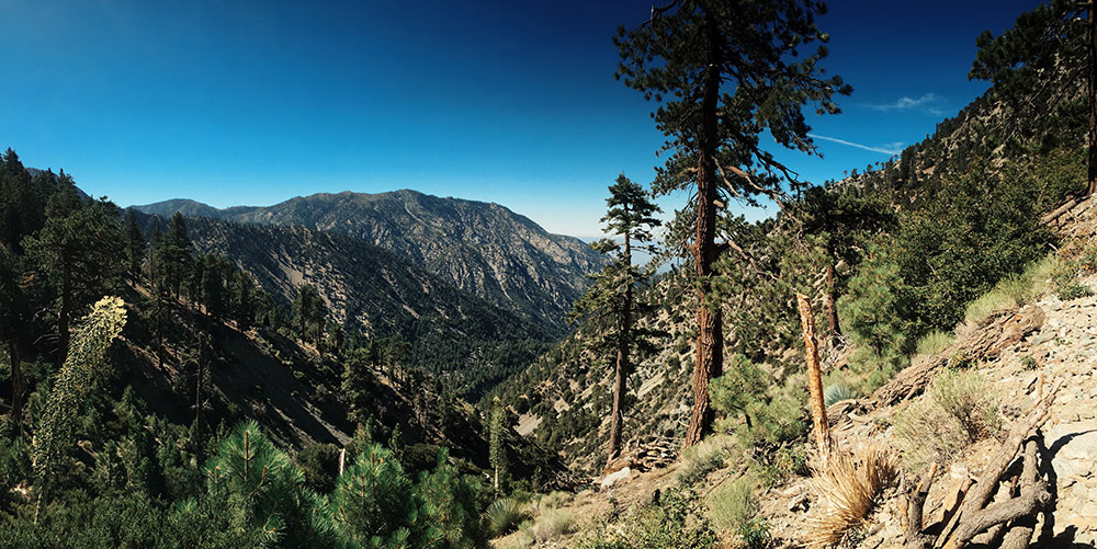 Mt. Baldy - Manker Flats Loops