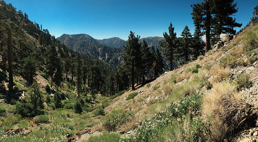 Mt. Baldy - Manker Flats Loops