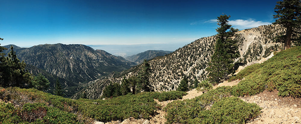 Mt. Baldy - Manker Flats Loops