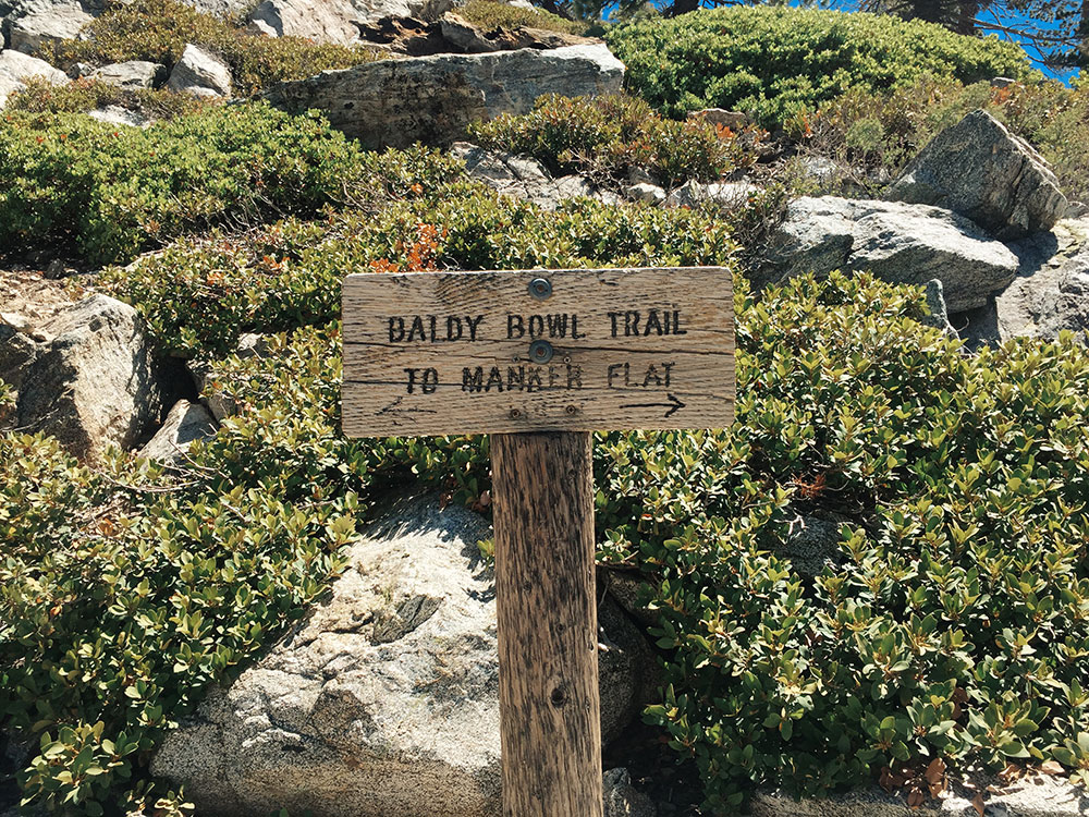Mt. Baldy - Manker Flats Loops