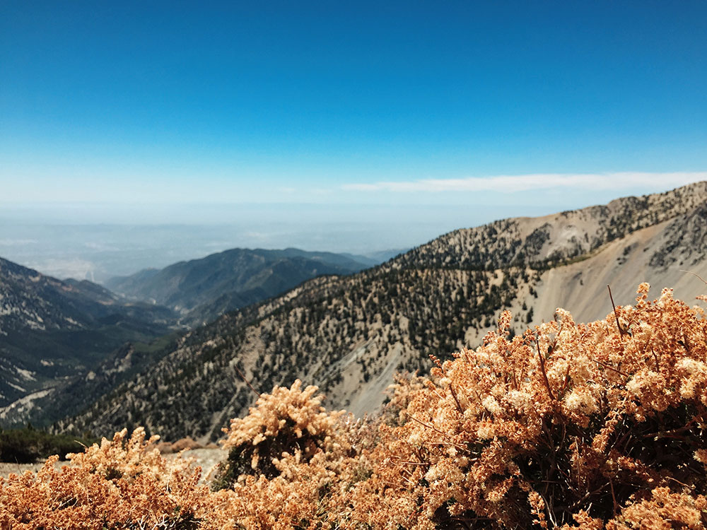Mt. Baldy - Manker Flats Loops