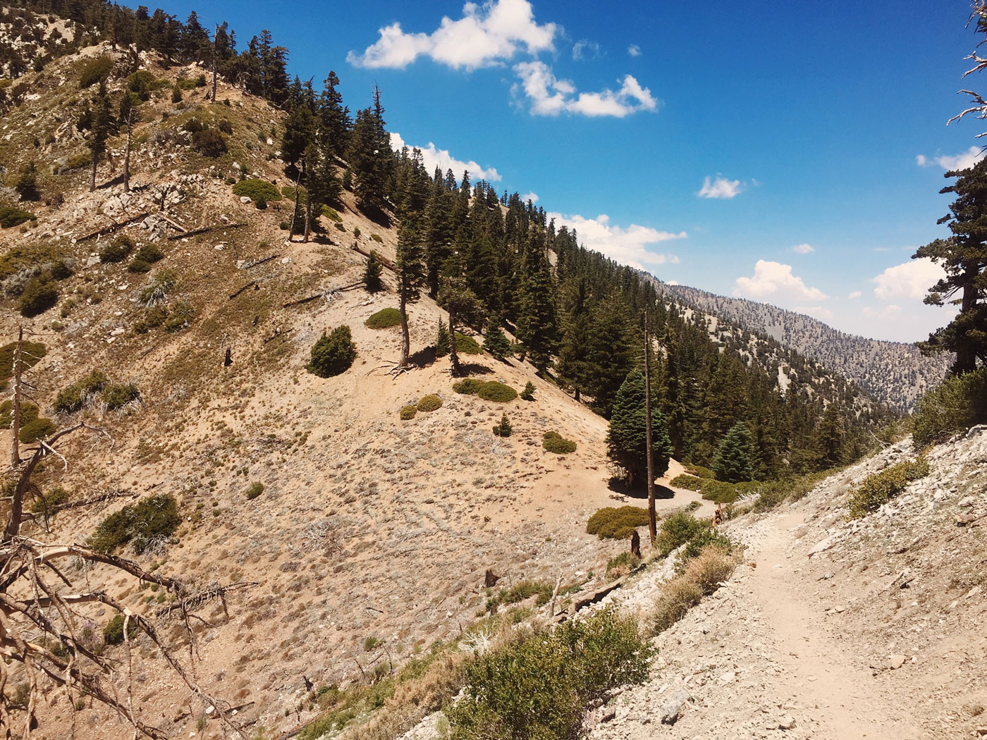 Cucamonga Peak -18mi Loop