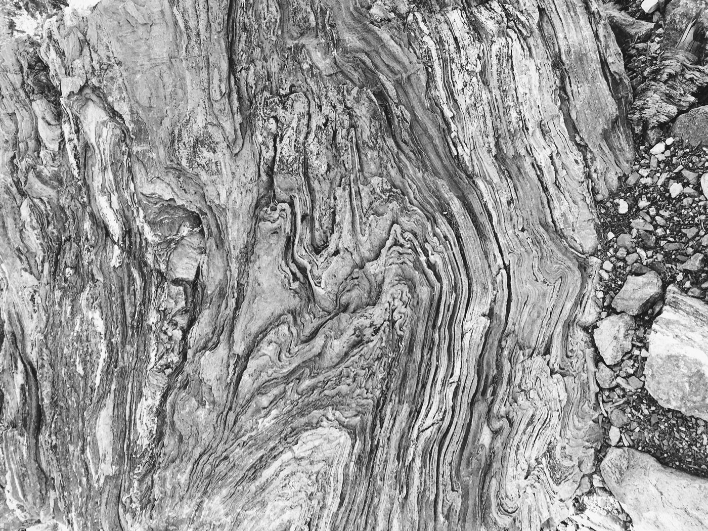 Cucamonga Peak -18mi Loop