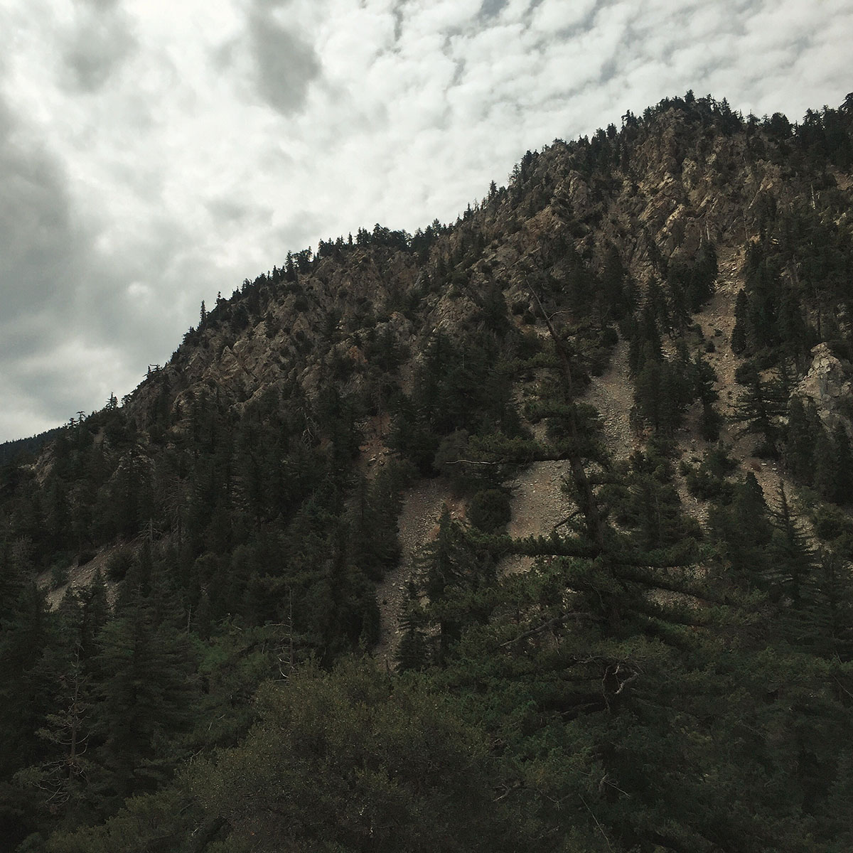 Ice House Canyon - Chapman Trail