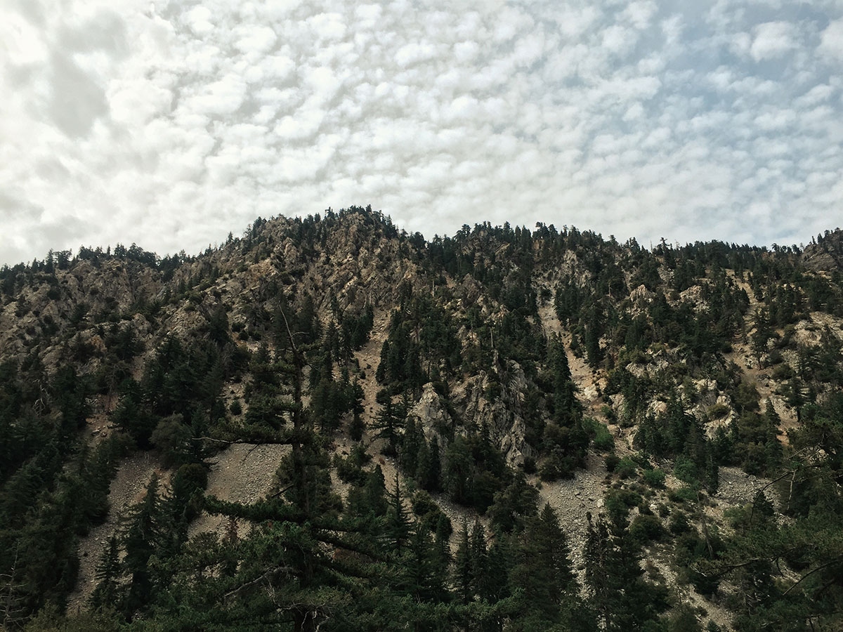 Ice House Canyon - Chapman Trail