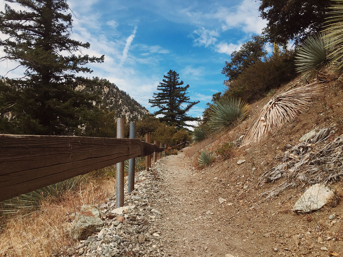 Ice House Canyon - Chapman Trail