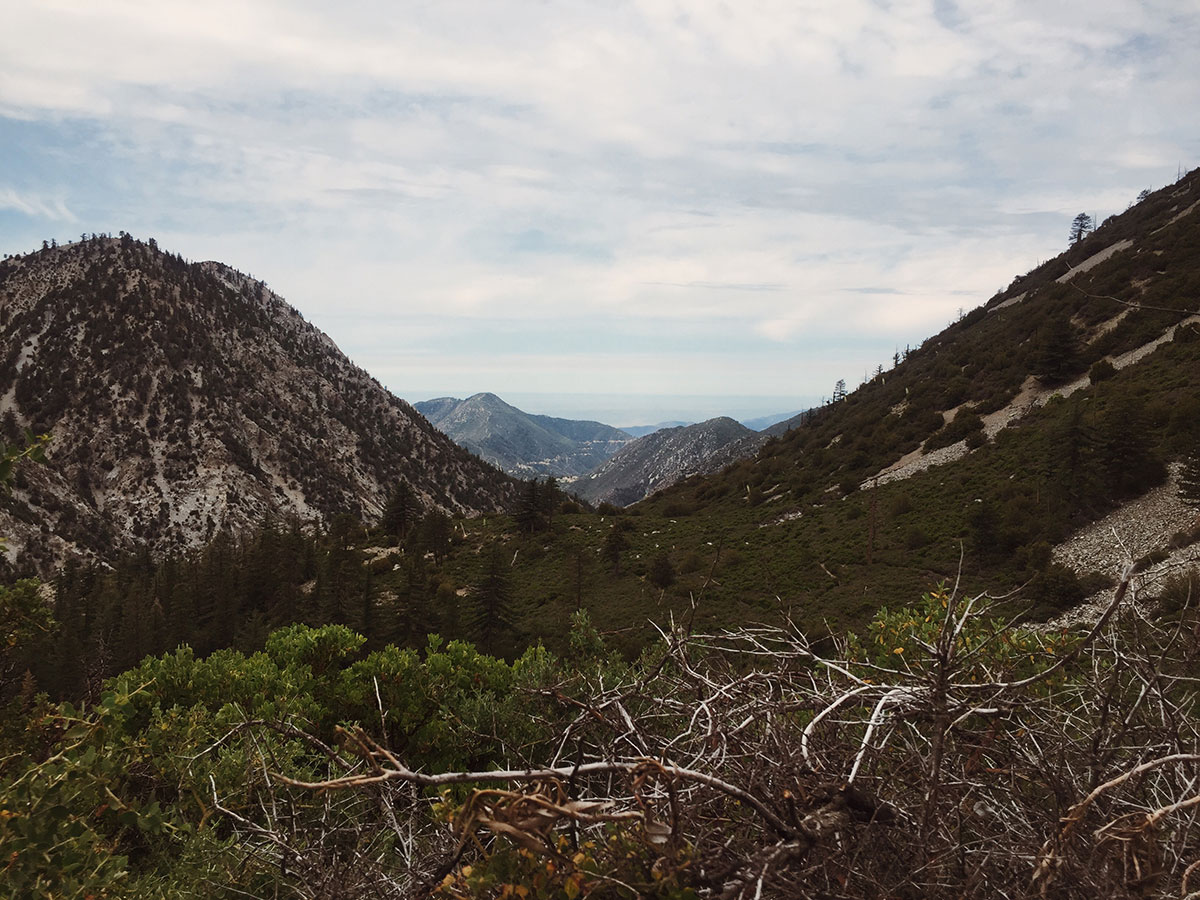 Ice House Canyon - Chapman Trail