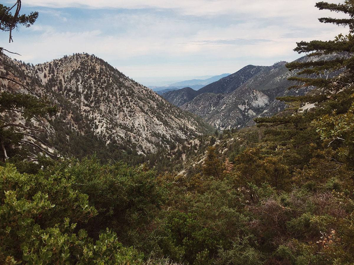 Ice House Canyon - Chapman Trail