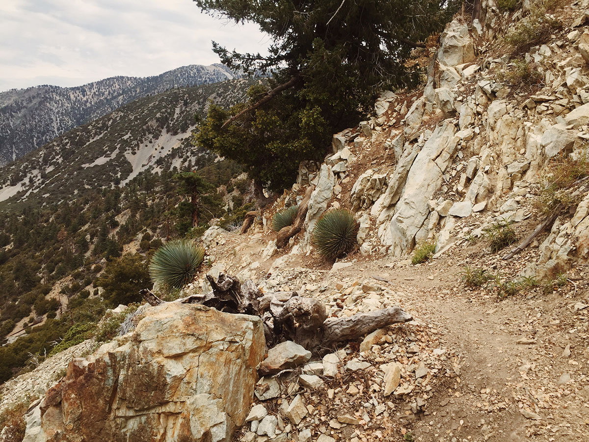 Ice House Canyon - Chapman Trail