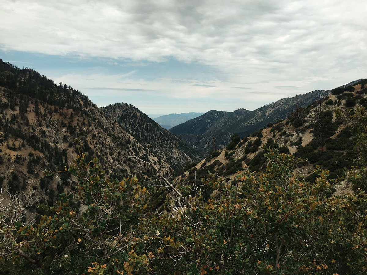 Ice House Canyon - Chapman Trail