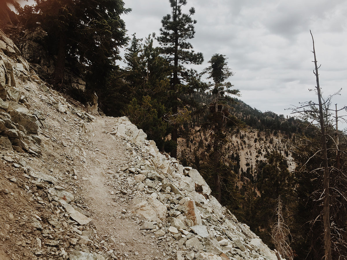 Ice House Canyon - Chapman Trail