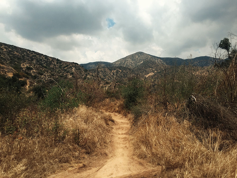 El Prieto Trail