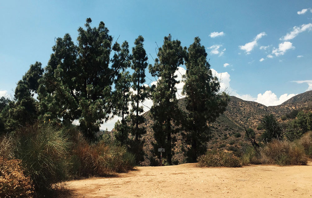 El Prieto Trail