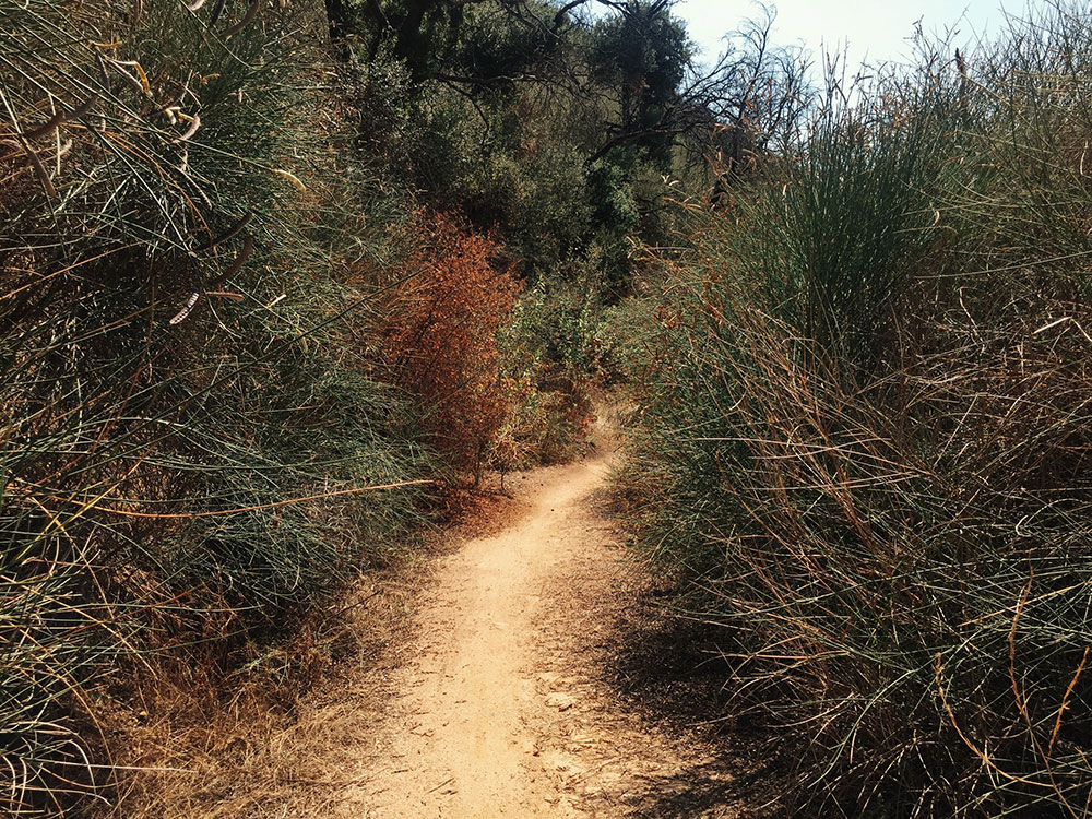 El Prieto Trail