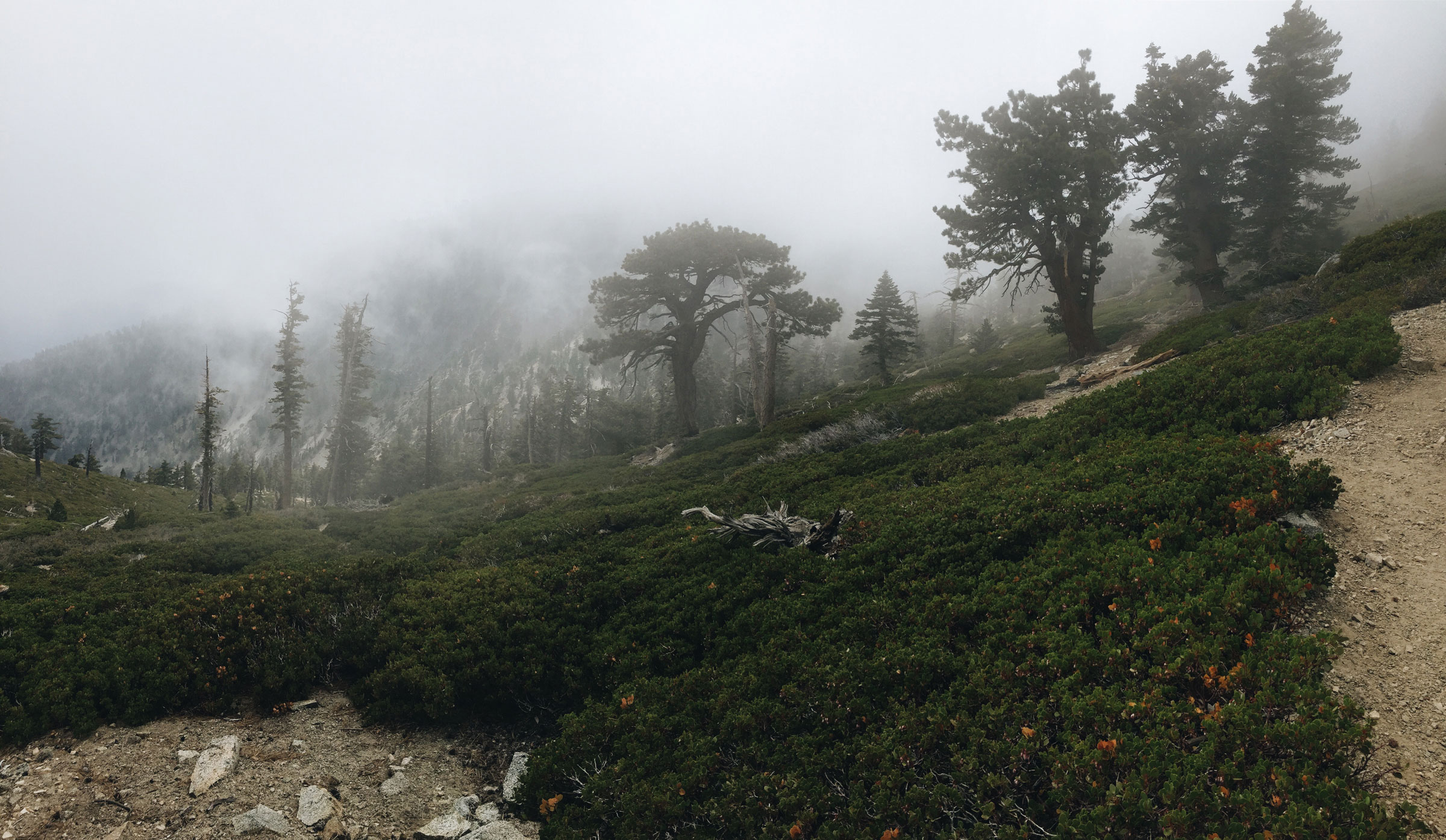 Mt. Baldy - Cloud Hike