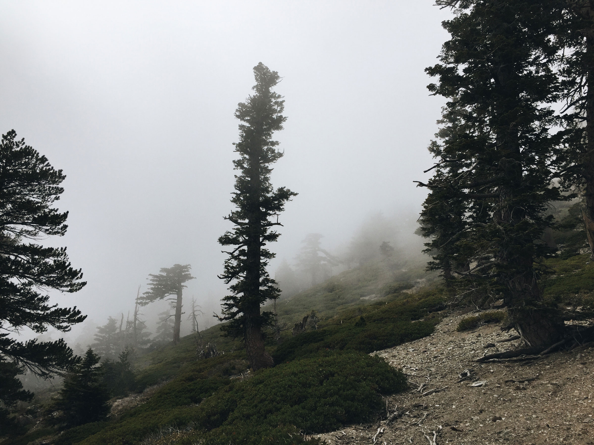 Mt. Baldy - Cloud Hike