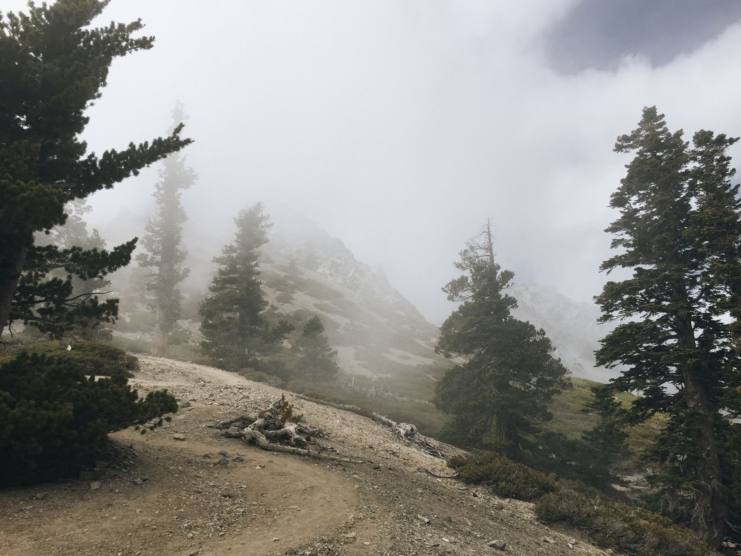 Mt. Baldy - Cloud Hike