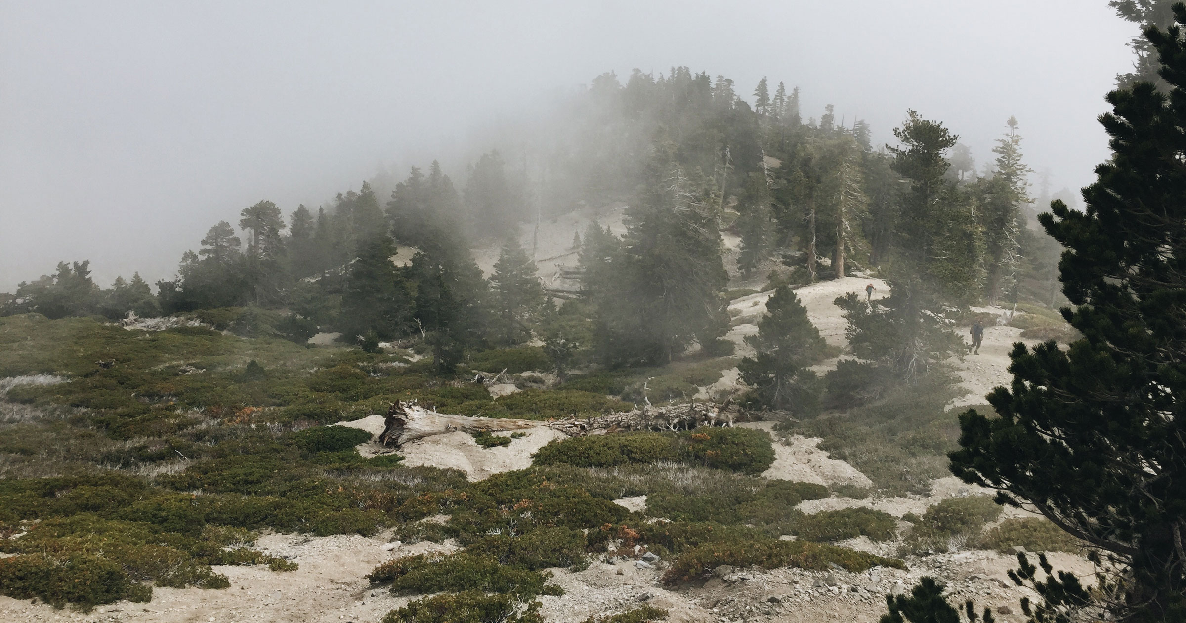 Mt. Baldy - Cloud Hike