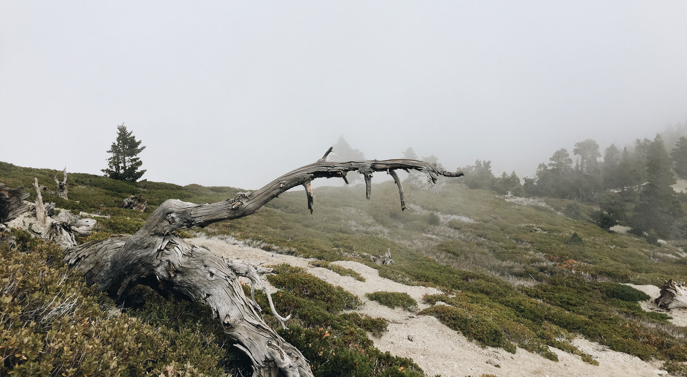 Mt. Baldy - Cloud Hike