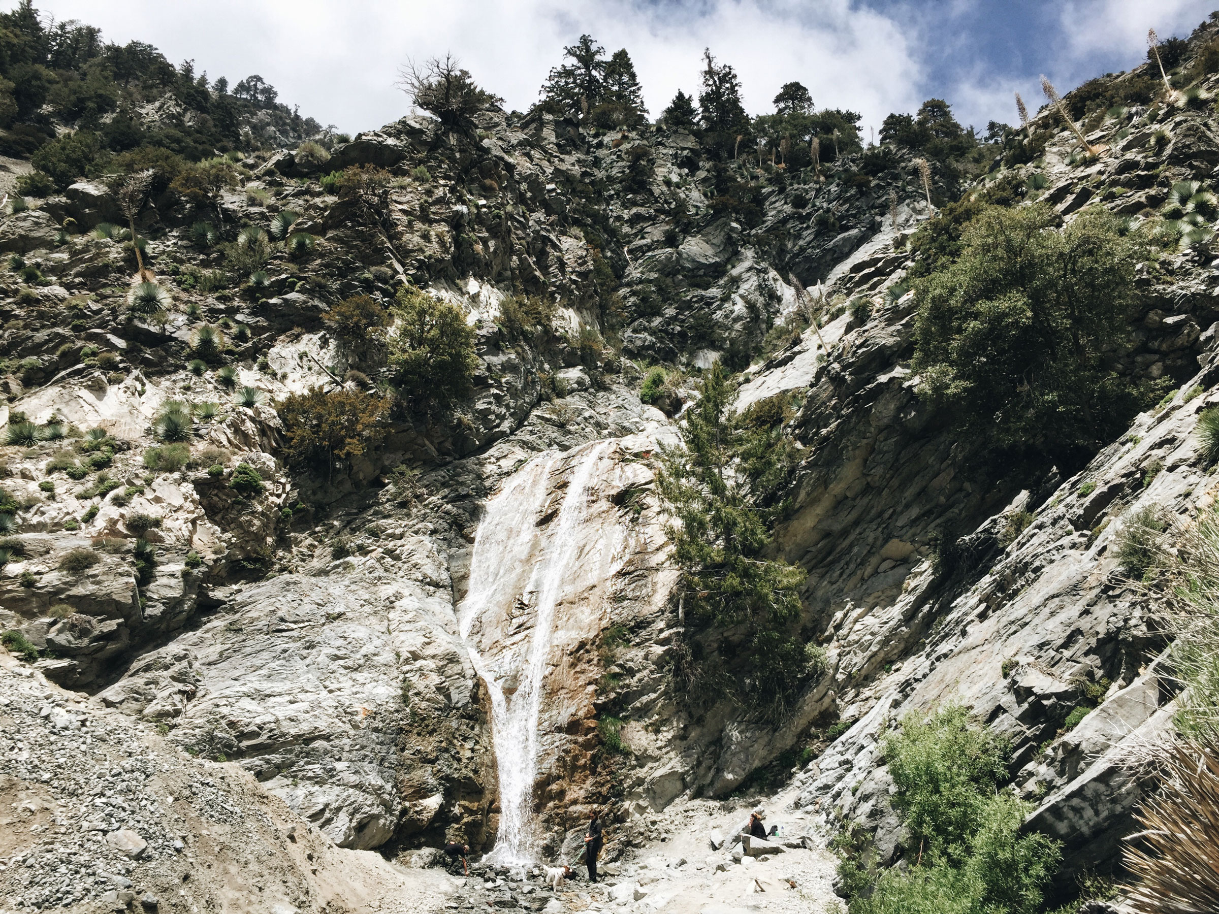Mt. Baldy - Cloud Hike